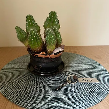 Apartamentai Eurista * 드루스키닝카이