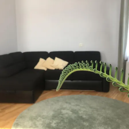 게스트하우스 Apartamentai Eurista *