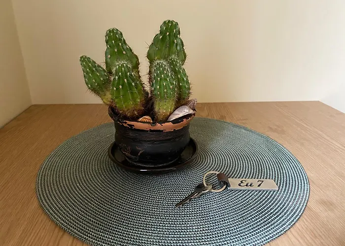 Apartamentai Eurista * Druskininkai